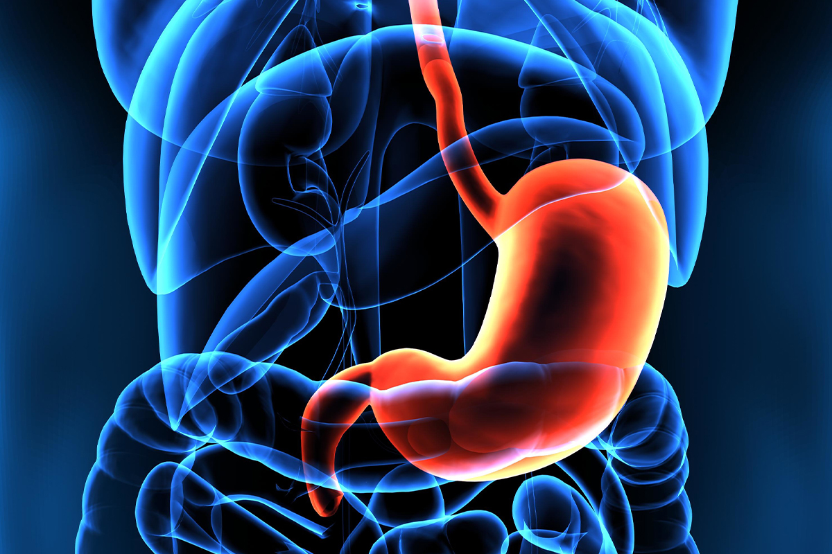 Die Entwicklungsgeschichte der Pylorusrevision