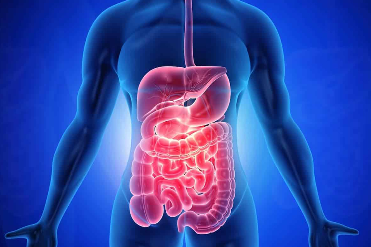 How-Is-Leaky-Gut-Syndrome-Diagnosed
