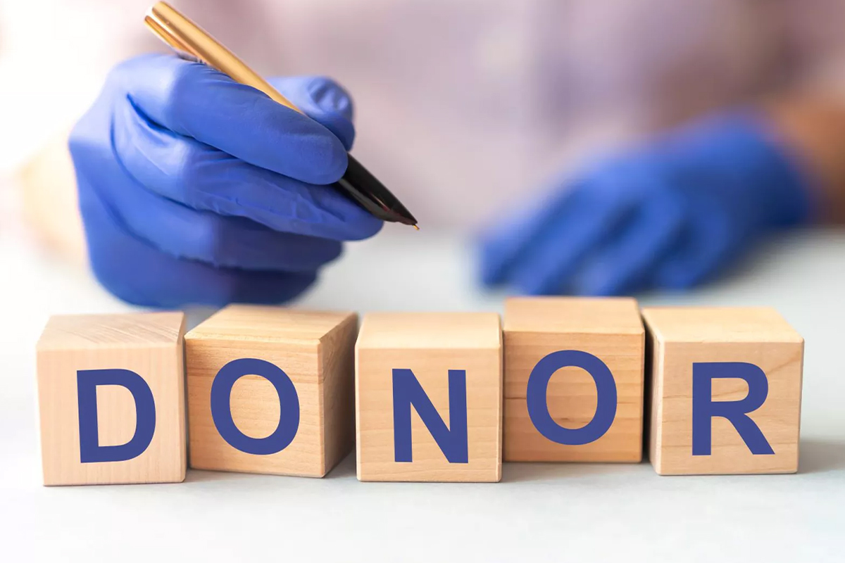 Gaita Naklinde (FMT) Donör Seçiminin Önemi